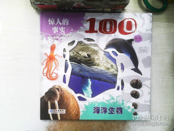 惊人的事实100第一辑 全6册 英国引进 3-8岁认知科普百科早教启蒙绘本 动物身体海洋等超精美高清实拍大图 英国引本 小学生一二年级课外阅读