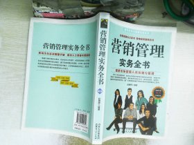 网络营销实务全书：突破传统营销平台的全新模式