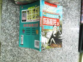 中华成语大全(全8册)成语故事1.2.3.4 成语接龙1.2.3.4 小笨熊