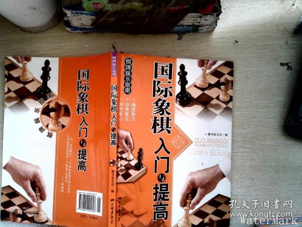 棋牌娱乐指南：国际象棋入门与提高