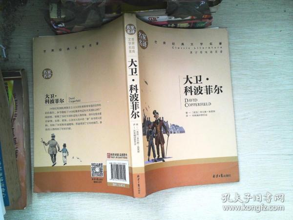 大卫 科波菲尔 中小学生课外阅读书籍世界经典文学名著青少年儿童文学读物故事书名家名译原汁原味读原著