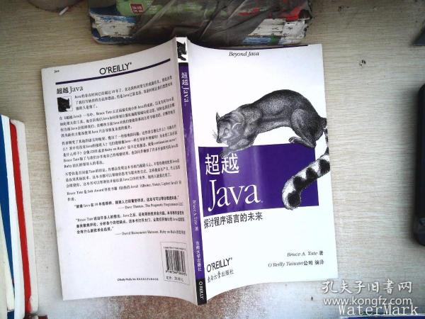 超越 Java：探讨程序语言的未来