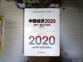 中国经济2020