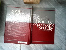 Social Insurqnce Economice Security