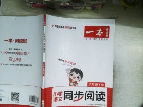 一本 小学语文同步阅读六年级下册       有笔记