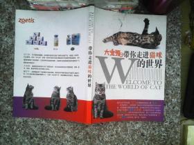 带你走进猫咪的世界