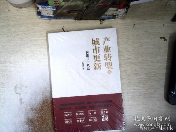 产业转型与城市更新：实践三十八法