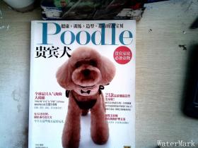 Poodle 贵宾犬