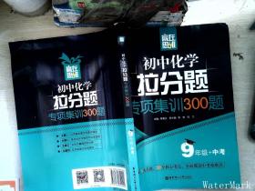 赢在思维——初中化学拉分题专项集训300题（9年级+中考）