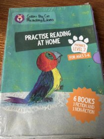 Practise reading at home phonice level 2