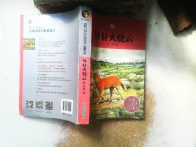 动物小说大王沈石溪·品藏书系：母豺火烧云