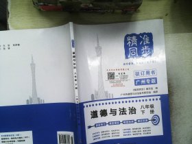 精准同步 道德与法治  八年级 下册