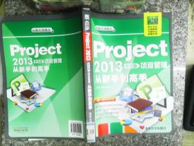 从新手到高手：Project2013中文版项目管理从新手到高手  有光盘