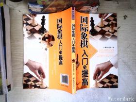 棋牌娱乐指南：国际象棋入门与提高