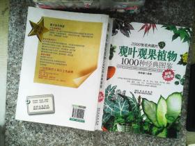 观叶观果植物1000种经典图鉴（超值白金版）