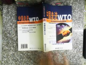 中国走进WTO(最新版)