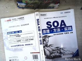 SOA原理·方法·实践