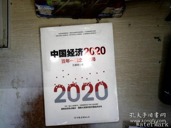 中国经济2020