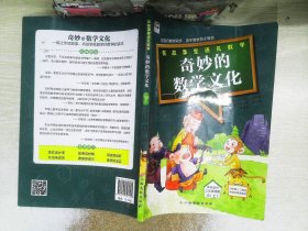 奇妙的数学文化 三年级上册