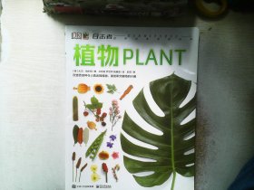 DK目击者经典科普阅读百科     植物
