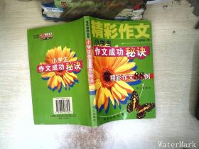 小学生作文成功秘诀