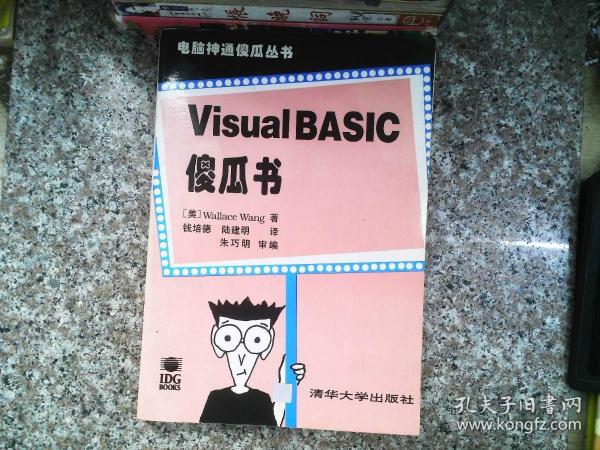 Visual BASIC傻瓜书