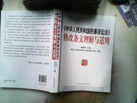 《中华人民共和国民事诉讼法》修改条文理解与适用