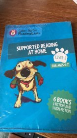 Collins Big Cat Reading Lions  Level 3-supported reading at home 平装书 6本
