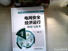 电网安全经济运行理论与技术