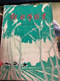 虹南作战史