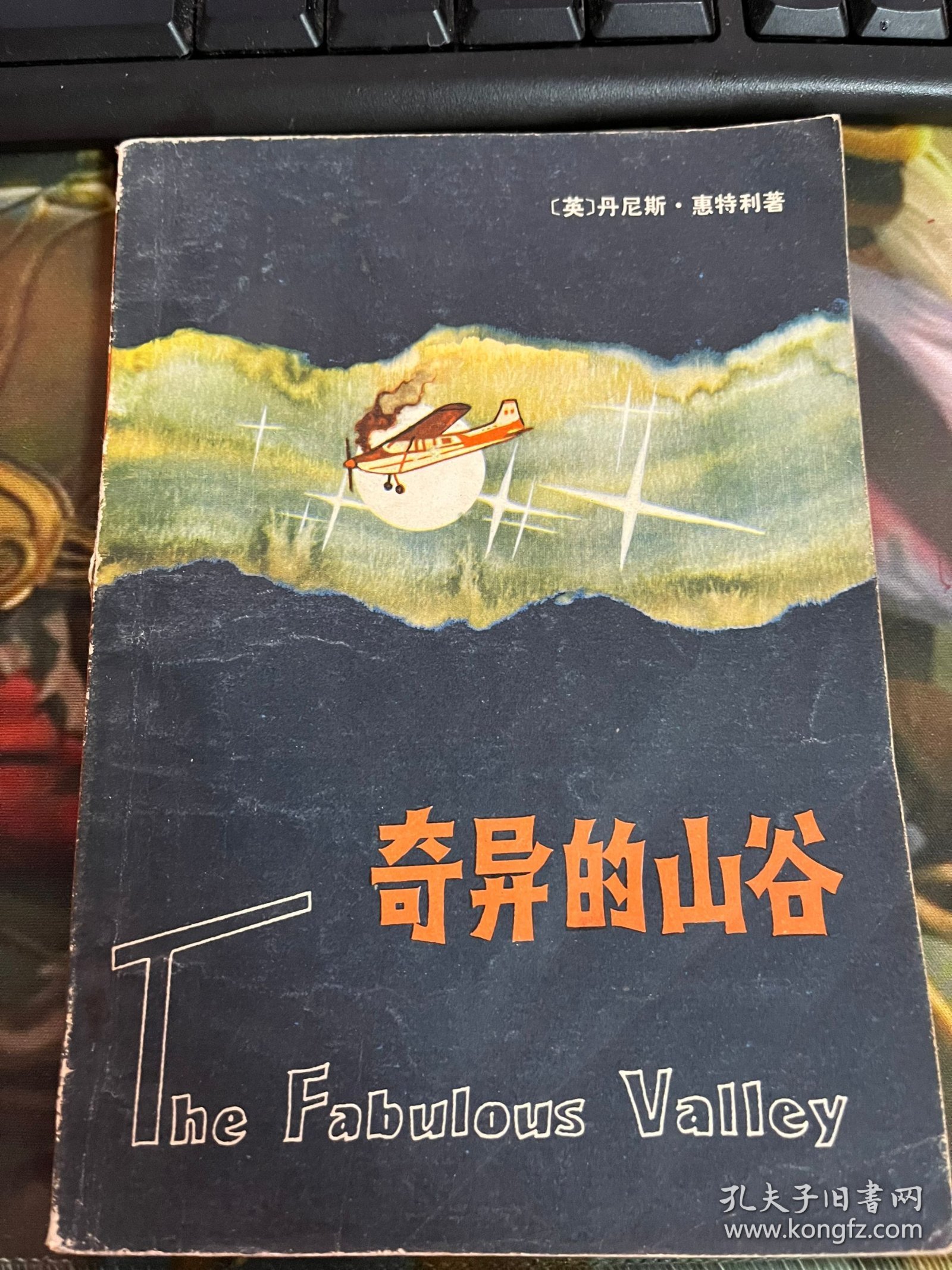 奇异的山谷