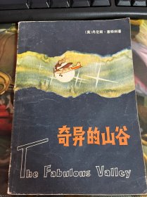 奇异的山谷