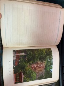 百家争鸣
