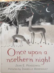 Once upon a northern night英文绘本