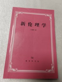 新伦理学：优良道德的制定与实现之研究