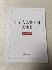 中华人民共和国民法典 大字条旨版