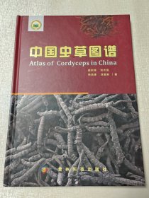 中国虫草图谱