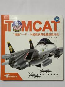 雄猫-F-14舰载多用途重型战斗机