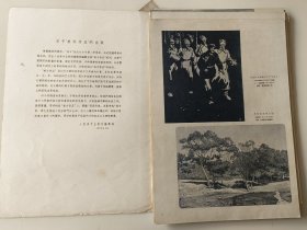 美术作品 创刊号  （1958年 活页 内页齐全）