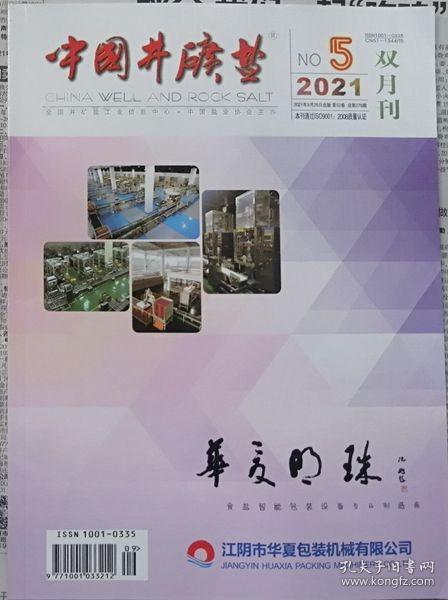 中国井矿盐   2021年5期