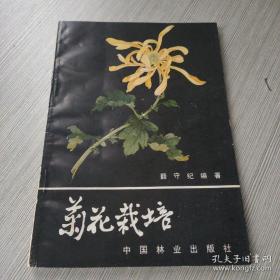 菊花栽培