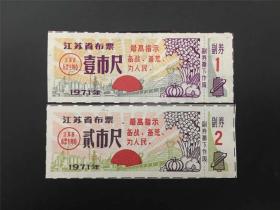 江苏省71年语录布票2枚（精美漂亮，背有字格）