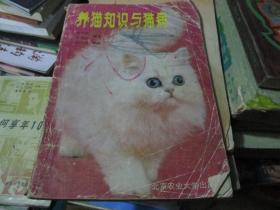 养猫知识与猫病