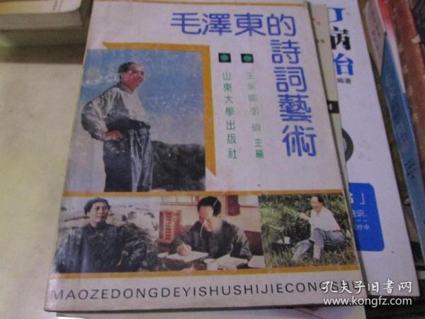 《毛泽东的艺术世界》丛书：毛泽东的诗词艺术