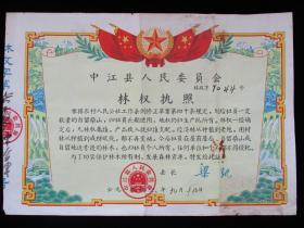 林业文献 1963年中江县人民委员会 林权执照（县长签署）