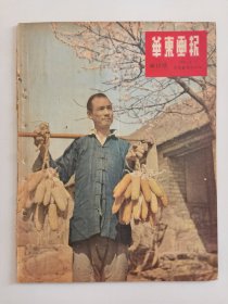 华东画报 新10期  1950.9