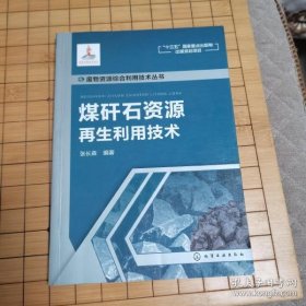 废物资源综合利用技术丛书--煤矸石资源再生利用技术