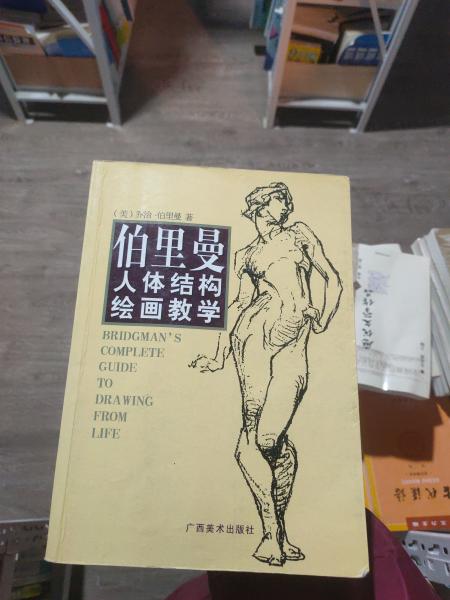 伯里曼人体结构绘画教学