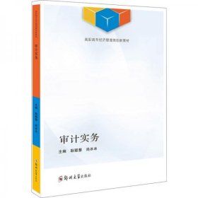 审计实务/高职高专经济管理类创新教材