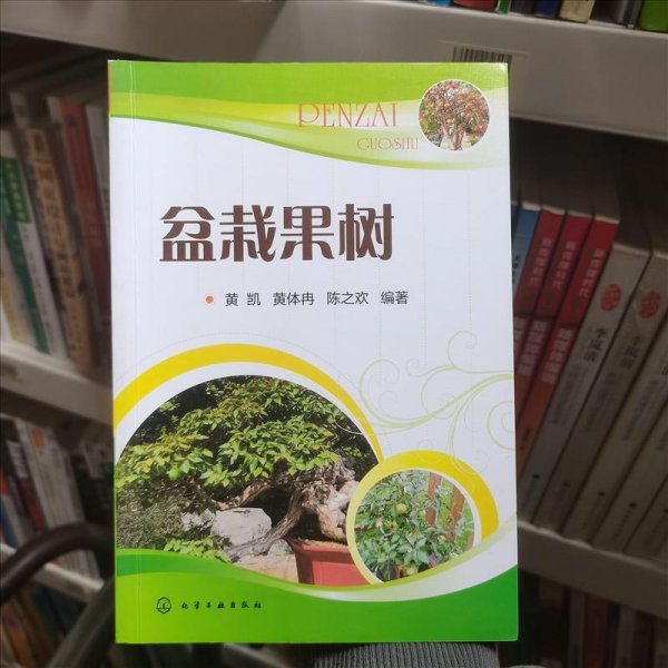 盆栽果树